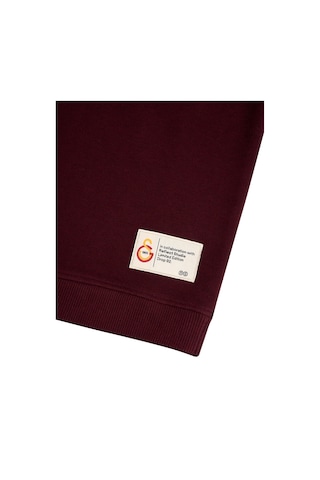 Gsstore X Reflect Studio Aslan Çocuk Hoodie C242400 Bordo