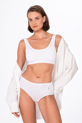 Kadın Pamuklu Yüksek Bel Bato Modal Külot Beyaz K23922-beyaz Beyaz