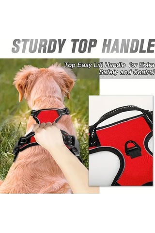 Maxaccess Kırmızı Xl Büyük Köpek Göğüs Askısı Anti Çekme Yastıklı Reflektif Tasma Klipsli Kontrol Tutamacı