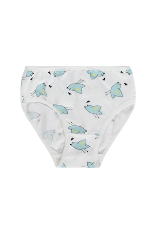 Civil Girls Kız Çocuk Cute Bird 2-12 Yaş 2'li Külot - Standart