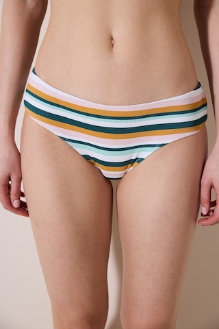 Penti Shona Hipster Dokulu Çizgili Bikini Altı Ple2fuvf24ıy-str Çok Renkli