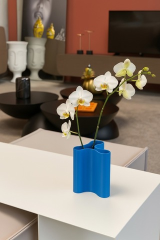 Studio Vazo Mavi
