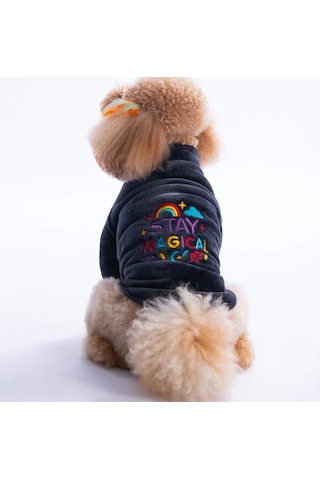 Pawstar Antrasit Jaipur Küçük Irk Köpek Peluş Ceket