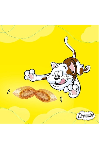 Somonlu Ve Peynirli Kedi Ödül Maması 60 G X 6 Adet 1 Kutu