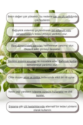 Lavendrose Kekik Yağı %100 Saf - Bitkisel Kekik Uçucu Yağı 10ml