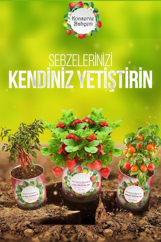 Buffer Konserve Bahçem Evde Konservede Kolay Ispanak Yetiştirme Kiti
