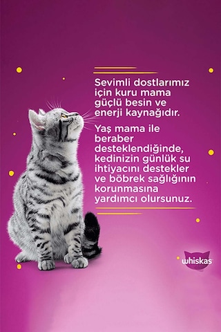 Whiskas Pure Delight Pouch Sığırlı Yetişkin Kedi Maması 85 G