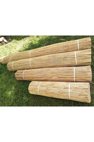 Çit Hasır Çit Kamış 2M X 6M