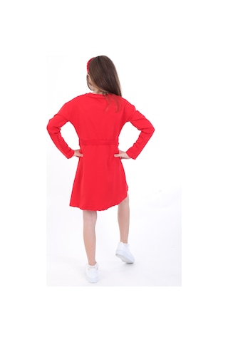 Toontoy Kız Çocuk Baskılı Relax Fit Bisiklet Yaka Uzun Kollu Bağcıklı Elbise - Kırmızı