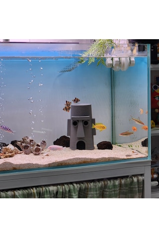 Squidward Balık Yuvası Akvaryum Aksesuarı Sünger Bob Temalı Bal