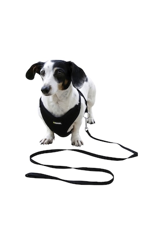 Kerbl Yavru Köpek Göğüs Tasması Siyah 30 - 50 CM Siyah