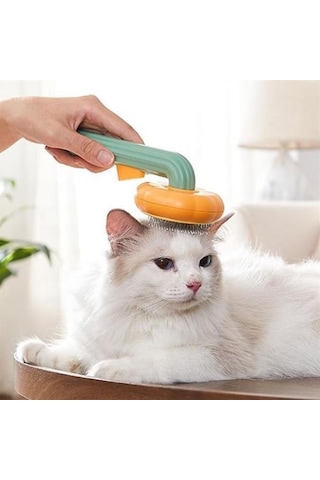 Büro Ev Evcil Hayvanı İçin Yeşil Plastik Çok Amaçlı Kedi Köpek Fırçası