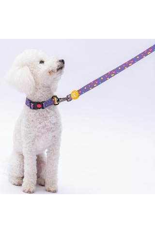 Ice Cream Dondurma Desenli Köpek Boyun Tasması Ayarlanabilir Köpek Tasması Mor