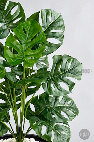 Biçiçek Yapay Monstera Deve Tabani Bi̇tki̇si̇ 130 Cm Antresi̇t Kumsal Saksıda