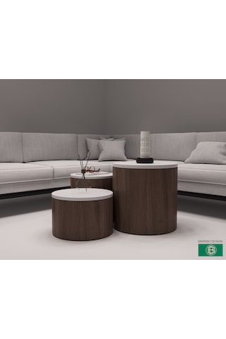 Salon Orta Sehpa 3 Parça