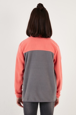 Lela Yumuşak Dokulu Fermuarlı Renk Bloklu Dik Yaka Cepli 2'Li Paket Hırka Çocuk Polar 5905001S2 Mor Siyah-Somon Gri