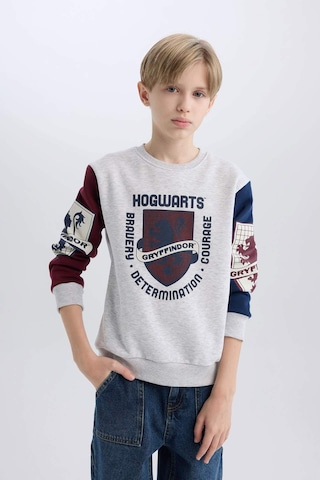 Defacto Erkek Çocuk Harry Potter Regular Fit Bisiklet Yaka Sweatshirt D4258a8nsgr400 Gri
