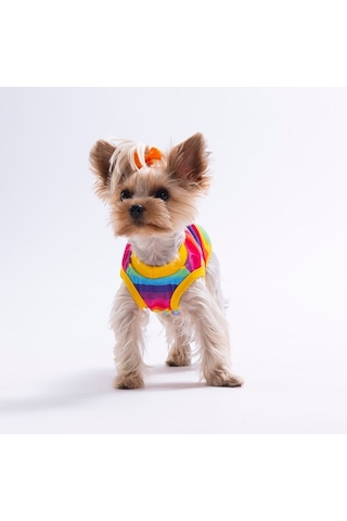 Rainbow Tişört Kedi Köpek Tişörtü-kedi Köpek Kıyafeti