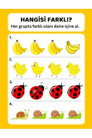 Okul Öncesi Farklı Olanı Bul Yaz-sil Kitabı