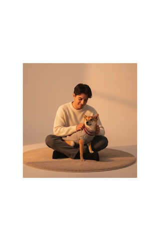 Kedi Ve Köpek İçin Yengeçli Gri Kazak