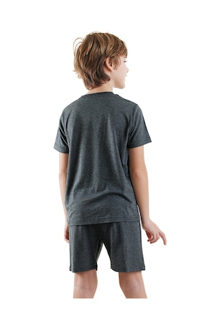 Denokids Dinozor Erkek Çocuk Gri Alt Üst Pijama Takım Renkli Çok Renkli