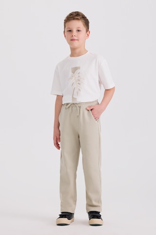 Panço Erkek Çocuk Örme Açık Yeşil Pantolon