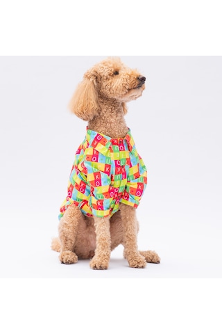 Harfler Büyük Irk Köpek Gömlek 7xl