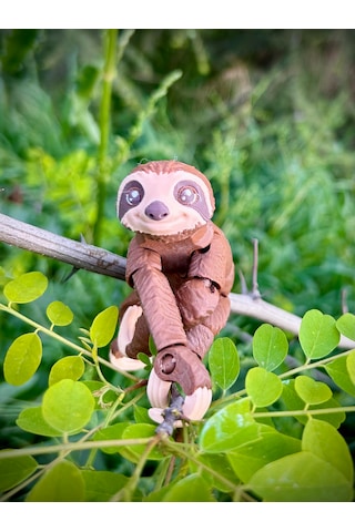 Tembel Hayvan Oyuncak 3d Hareketli Organik Vip Model- Büyük Boy