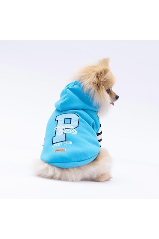 Turkuaz Lucky Club Köpek Hoodie Köpek Sweat Köpek Kıyafeti Kedi Kıyafeti
