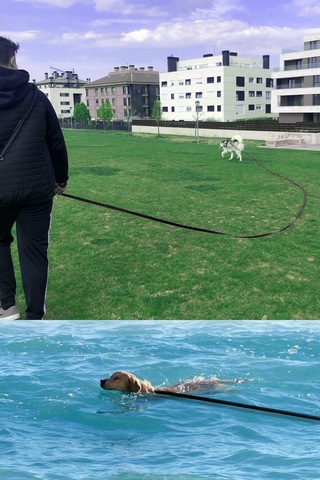 Güvenli Ve Konforlu 5 Metre Kedi Ve Köpek Gezdirme Sevk Kayışı Siyah