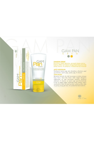 Gam Pan Onarıcı Bakım Kremi 50 ML