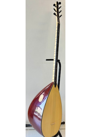 Profesyonel  Uzun Sap Ardıç Bağlama