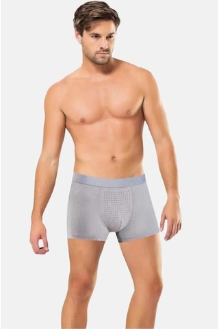 Anıt 3'lü Paket Erkek Bambu Boxer 001
