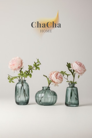 Chacha Home Modern 3'lü Minimalist Cam Çiçek Vazosu Dekoratif Masa Üstü Vazo Seti Turkuaz