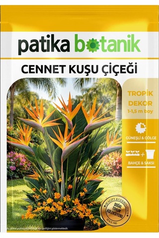 3 Adet Cennet Kuşu Çiçeği Tohumu (Strelitzia Reginae)