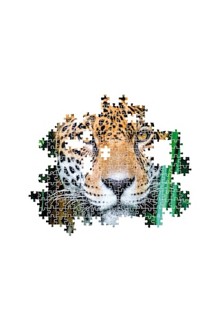 Clementonı 500 Parça Jaguar İn The Jungle 35541