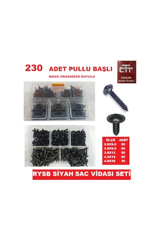 Sac Vidası Seti 230 Adet Siyah Pullu Başlı Rysb N11.21241