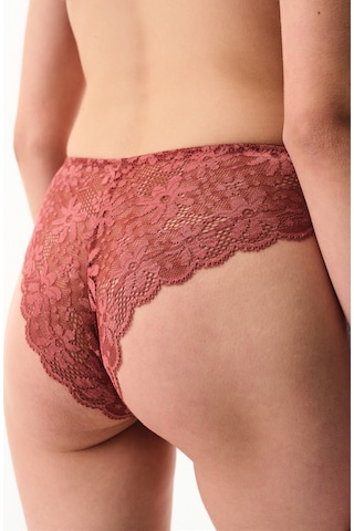 Penti Bordo Lace Dantel Slip Külot