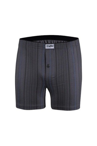 Yıldız 43 Desenli Boxer