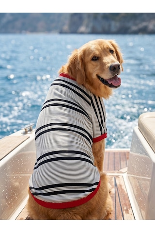 Yacht Club Marin Çizgili Orta Ve Büyük Irk Köpek Tişörtü Lacivert Kırmızı Yazlık Köpek Kıyafeti