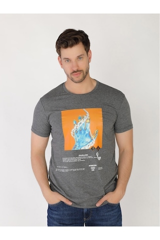 Roberto Cavalli Erkek Tshirt /M.Rob.0421.14023 Koyu Gri