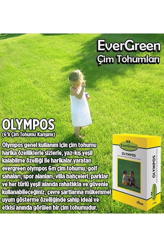 Olympos 6'Lı Karışım İthal Çim Tohumu 1 KG