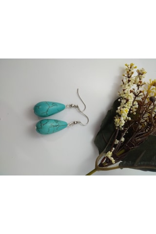 Balıkhediyelikfoto Turkuaz Firuze Taşli Küpe / Doğaltaş Sallantili Küpe N11.97710 Çok Renkli