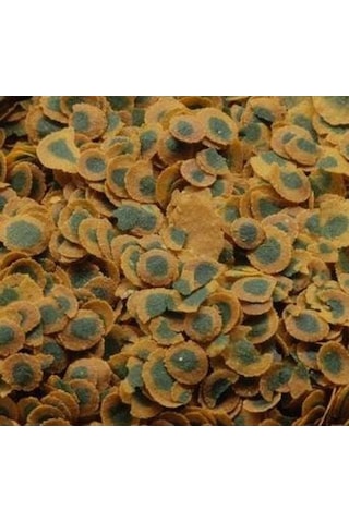 Tetra Pro Algae 100 Gam Kovadan Bölme