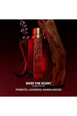 The Scent Elixir Parfum 100 Ml Erkek Parfüm Aromatik
