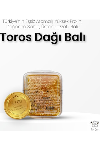 Toros Dağı Petek Bal 450 G