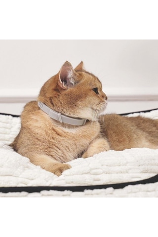 M-pets Keep Calm Sakinleştirici Kedi Tasması Gri