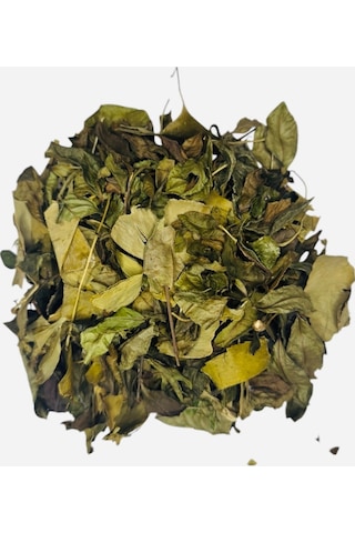 Rize Yaprak Yeşil Çay Ginko Biloba Harmanı Zengin Kaynağı %100 Doğal El Yapımı, 50 Gr