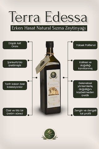 Terra Edessa Olio High Quality Olive Oil Erken Hasat Natürel Sızma Zeytinyağı - 1 Lt - Mezopotamya'nın Bereketli Lezzeti