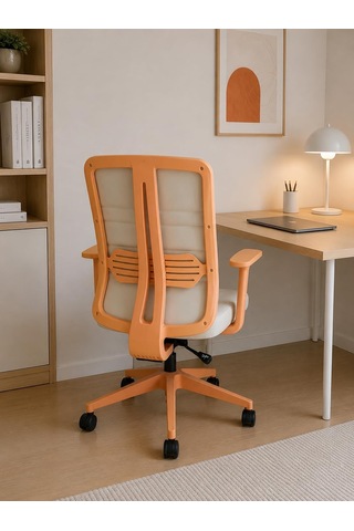 Spark Fine Ofis Sandalyesi Sırt Ergonomik Çalışma Koltuğu Diğer
